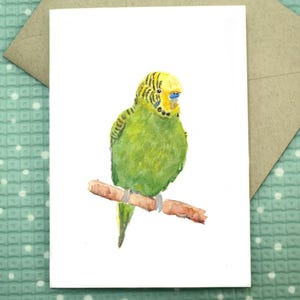 Budgie - Cartão de felicitações em branco
