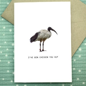 Bin Chicken You Out - Ibis Greeting Card