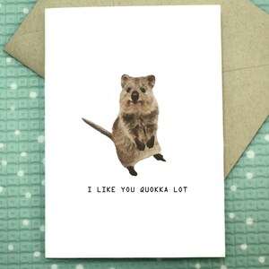 I like you Quokka Lot - Grußkarte