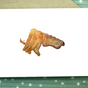 Riesen Tintenfisch - Grußkarte