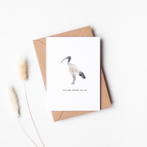 Bin Chicken You Out - Ibis Greeting Card