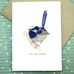 Você é soberba, Fairy Wren - Cartão de felicitações em branco