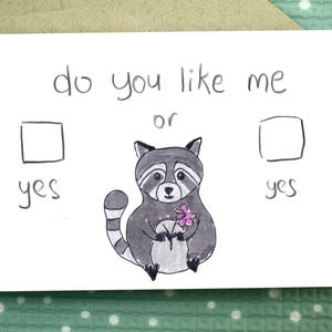 Racoon - Anniversary Love Card