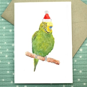 Budgie - Cartão de Natal em branco