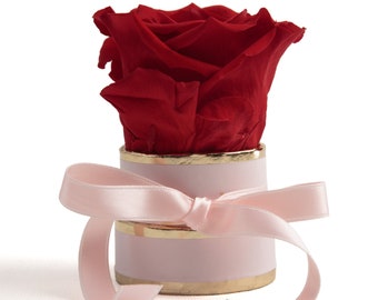 Forever infinity rose pink round flower box - Rosemarie Schulz Heidelberg