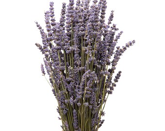 Dried lavender bouquet - 150-200 stems 40-45 cm height - dried flowers form Provence - lavender bundle - Rosemarie Schulz Heidelberg