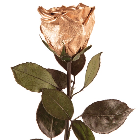 Rosa Eterna Regalos para Mama, Rosa Real Flor Preservada con