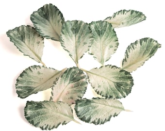 Artificial leaves green-white – 10/25/50 pcs – craft leaves for DIY wreaths, floral decor, wedding, scrapbooking