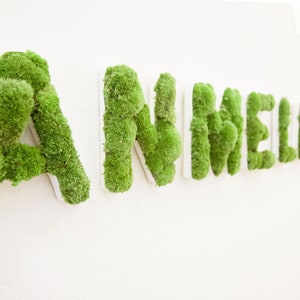 Letras de musgo para tapizar letras de musgo 15-30 cm de alto | Decoración de pared Mural de musgo Imagen de musgo de montaña Letra de madera - Rosemarie Schulz Heidelberg