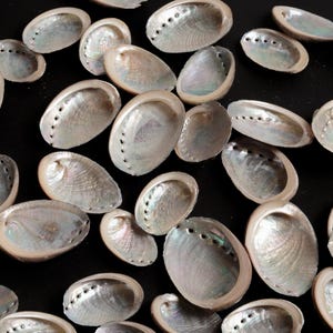 Può includere: Una tazza di ceramica bianca con manico nero e la scritta "But First, Coffee" in grassetto nero. La tazza è piena di un liquido scuro, probabilmente caffè, e poggia su una superficie chiara.
