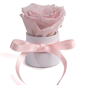 Forever infinity rose white round flowerbox - Rosemarie Schulz Heidelberg