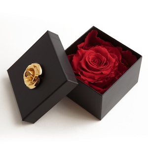 Preserved long living rose with Giftbox - Rosemarie Schulz Heidelberg