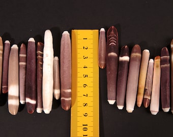Sea urchin spine stones - Phyllacanthus imperialis - sea urchin spines shell pin needle shell decor shell