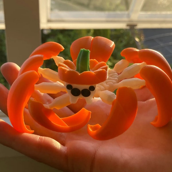 Pumpkin Spider V2