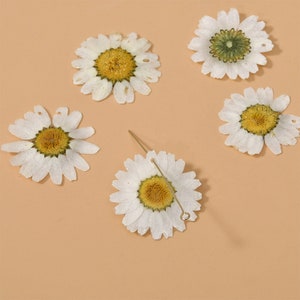 6pcs Natural Daisy Charm,White Daisy Flower Pendant, Dried flower sunflower, Epoxy Resin Daisy, Real Flower Charm, Jewelry Making Materials