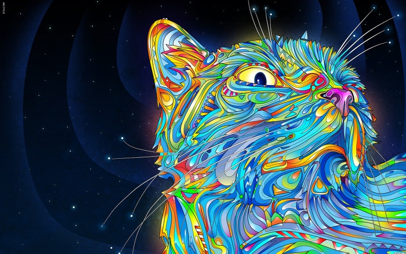 Psychedelic Space Cat Poster Silk quality guaranteed 14.29x25.08inch or any size room decoration gift