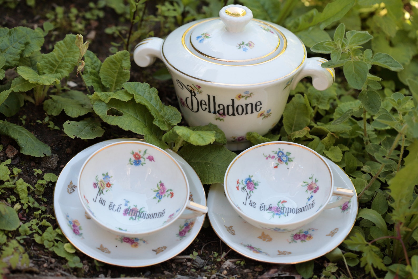 Poison Teacups Poison Tea Set Funny Tea Gift Unique Etsy