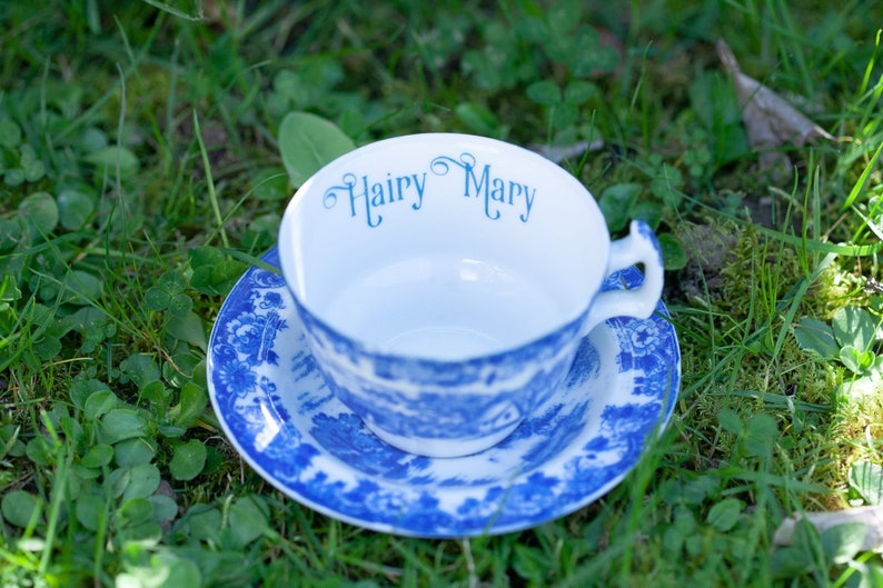 Vulgar Tea Cups Hairy Mary Funny Upcycled Gift Tea Etsy