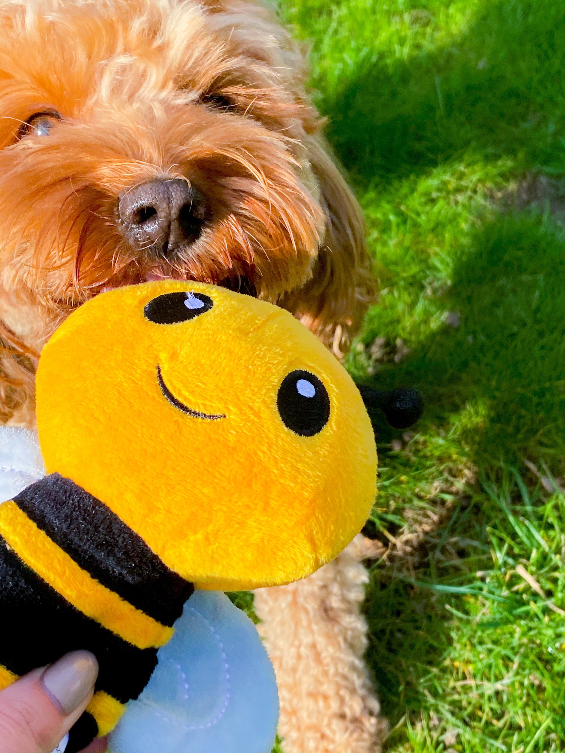 Bumble Bee Toy, Crochet Handmade Bee Toy, Arigurumi Bee, Crochet