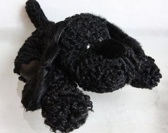 A charming little black dog with a wonderfully curly coat