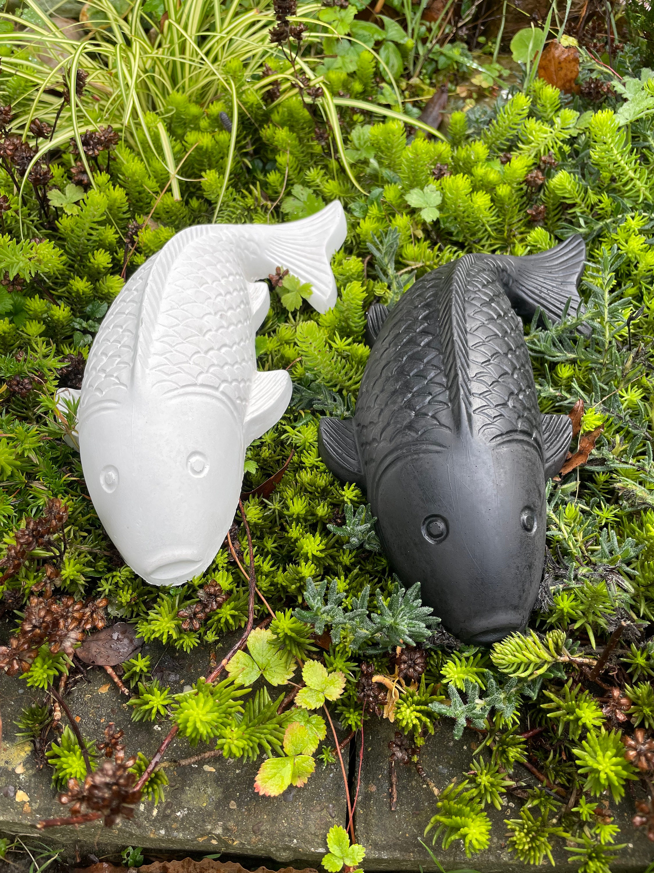 Ornament fish deals