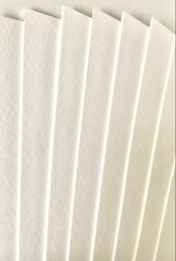 12 Hojas De Papel Secante Y 24 Hojas De Papel Pera Para Prensa De Flores – Altamente Absorbente Y Reutilizable – Ideal Para Herbarios Y Manualidades De Flores Secas