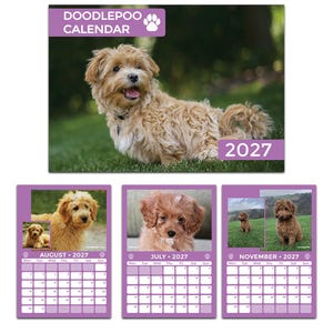 May include: A 2027 wall calendar titled DOODLEPOO CALENDAR featuring a light brown curly-haired puppy on the cover. The calendar includes monthly pages for August, July, and November 2027, each displaying a photograph of a puppy and a grid layout.