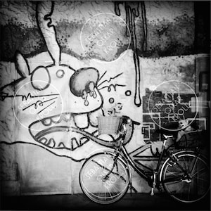 HARE | Berlin | Photography | Magnet | square | 6x6cm 10x10cm 12x12cm 20x20cm 30x30cm 50x50cm