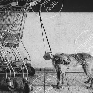 SMYCZ | Berlinie | Fotografia | prostokąt | 20x30cm 30x40cm
