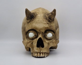 Bright eyes human skull replica . Realistic Plaster of Paris life size human skull replica.