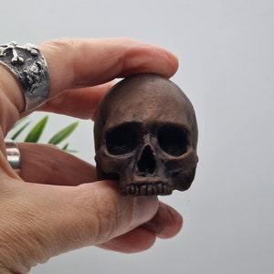 May include: A small, detailed, bronze-coloured skull sculpture. The skull is realistically sculpted with visible eye sockets, a nose, and teeth.