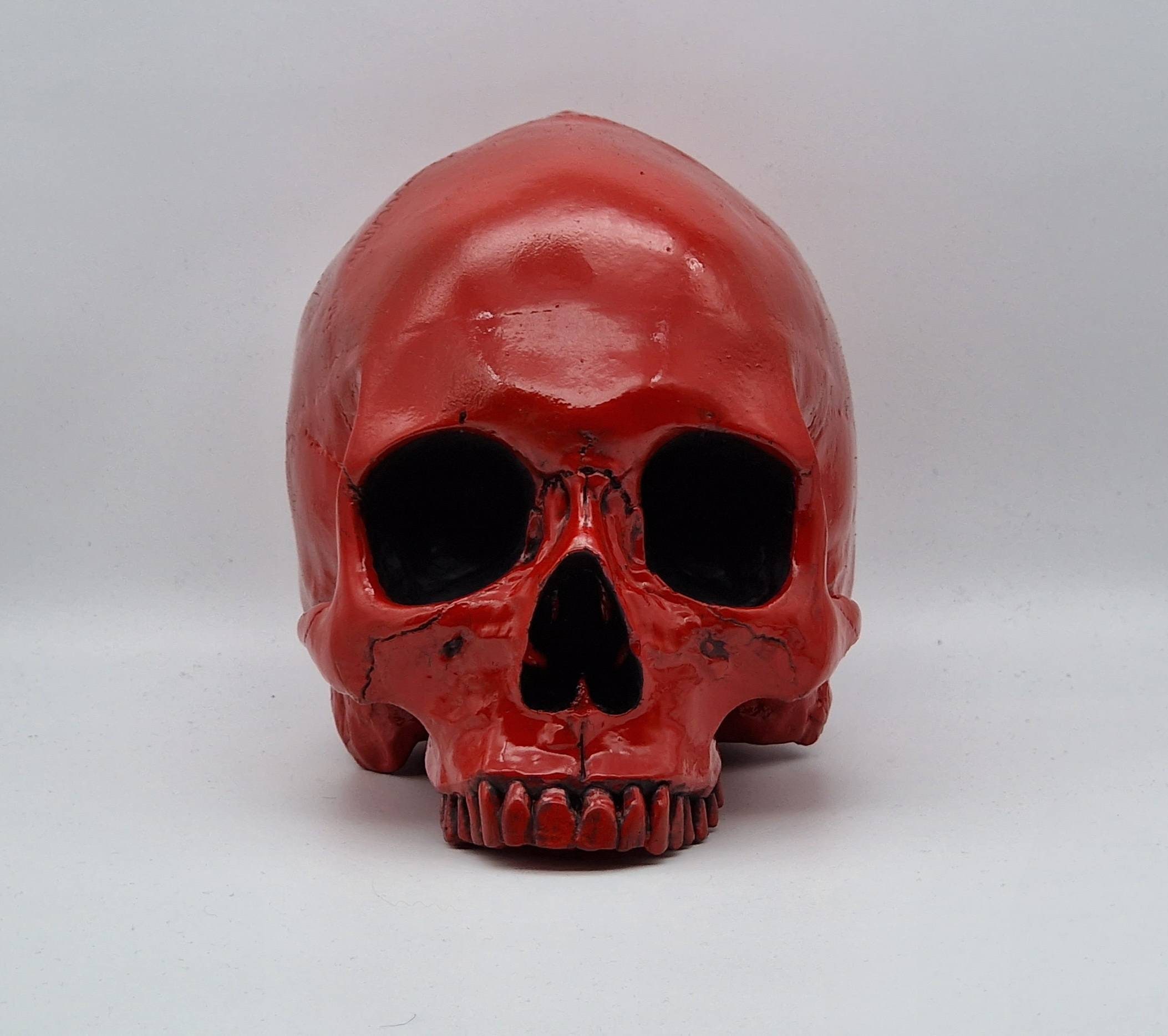 Red Skull. Plaster of Paris Life Size Human Skull Replica. - Etsy