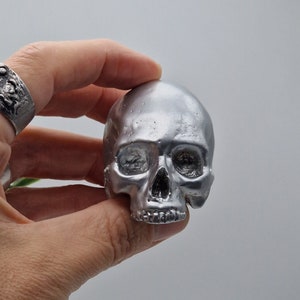 May include: A silver-coloured skull sculpture, with a detailed face and a smooth, shiny finish.