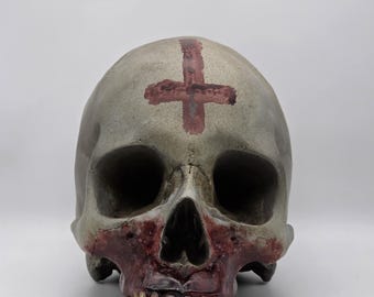 Anointed. Human skull replica . Realistic Plaster of Paris life size human skull replica.