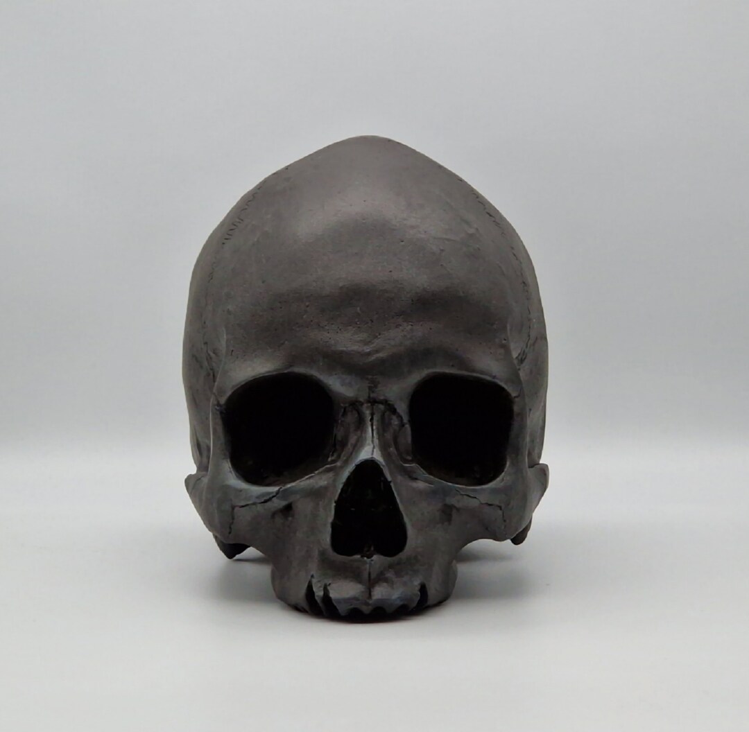 Black Toothless Human Skull Replica . Realistic Plaster of Paris