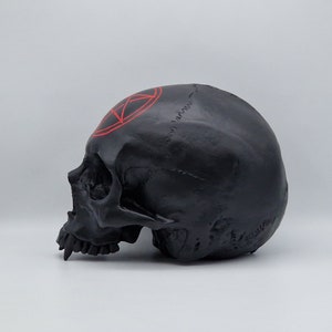 May include: Black skull sculpture with a red pentagram painted on the forehead.