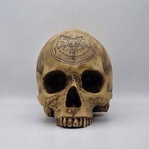 Baphomet skull . Plaster of Paris  life size human skull replica.