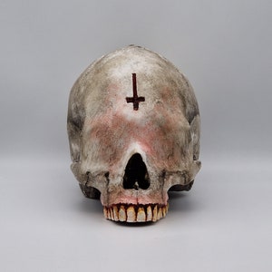 Blinded by darkness . Realistic Plaster of Paris life size human skull replica.