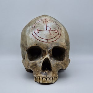May include: A white human skull with a red sigil on the forehead. The sigil is a circle with a cross inside and a letter 'C' on each side of the cross.