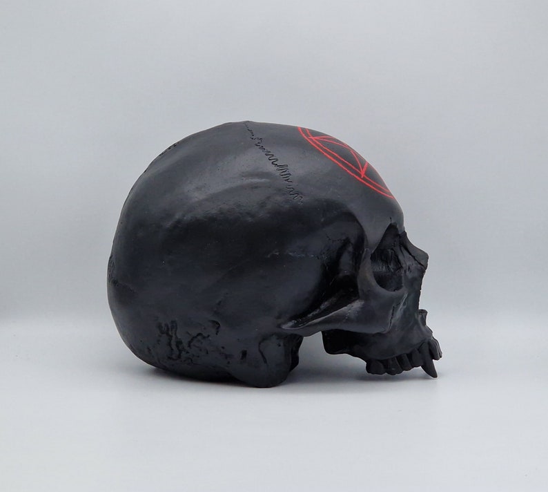 May include: Black skull with a red pentagram painted on the forehead. The skull is made of resin and is a decorative object.