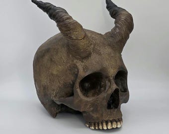 Horned crusted human skull replica . Realistic Plaster of Paris with resin horns  life size human skull replica.