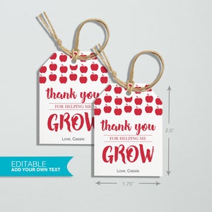Teacher Appreciation Gift Tags - Editable Template, Teacher Gift Tags, Printable Gift Tags, thank you tag, Teacher Printable, Thank you