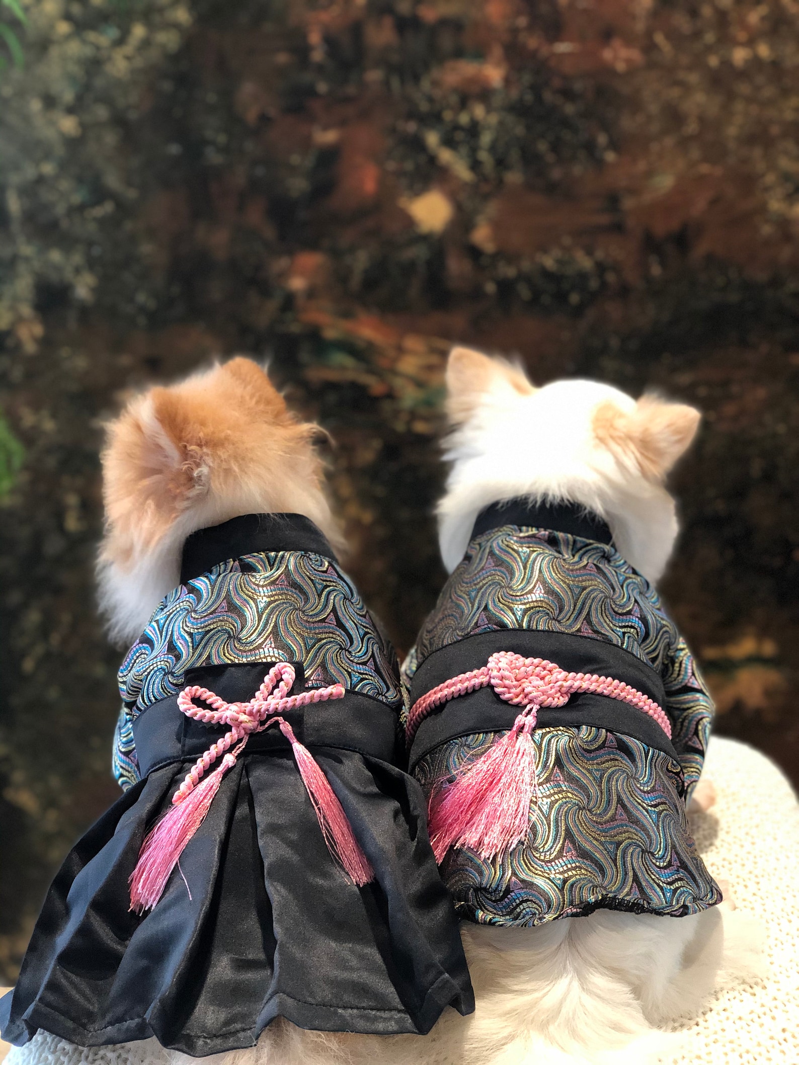 TAO Japanese Dog Kimono Dog Costume Black Kimono Etsy