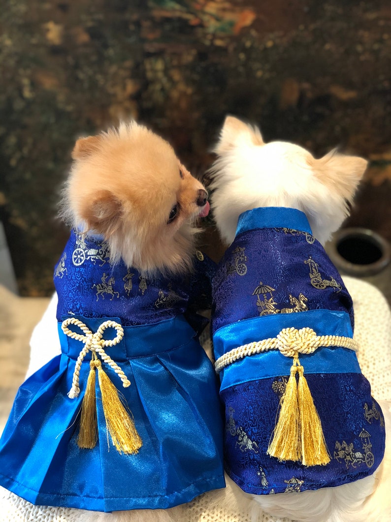 Zeitaku Japanese Dog Kimono Dog Costume blue Etsy Canada