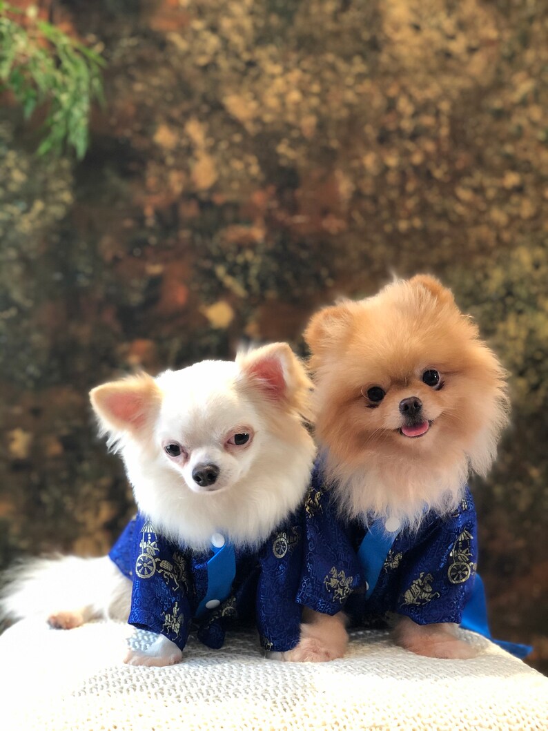 Zeitaku Japanese Dog Kimono Dog Costume blue Etsy Canada