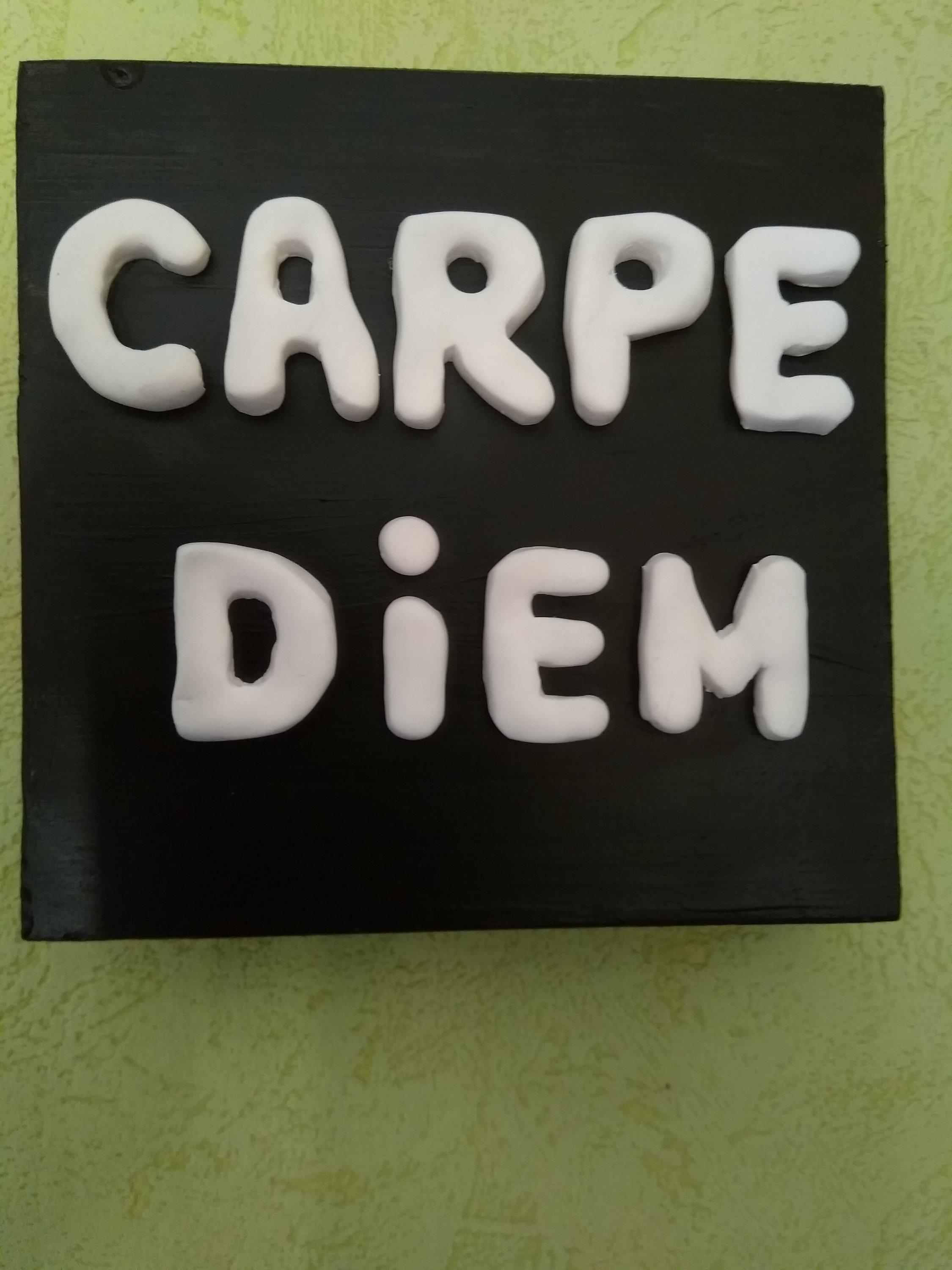 Panneau de Bois avec La Citation Carpe Diem