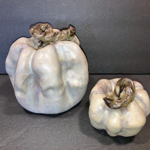 May include: Two ceramic pumpkins, one large and one small, with a white glaze and brown accents. The pumpkins have a textured, bumpy surface.