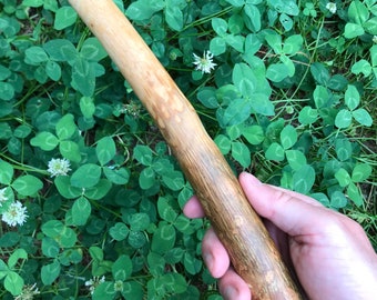 Ash Wand