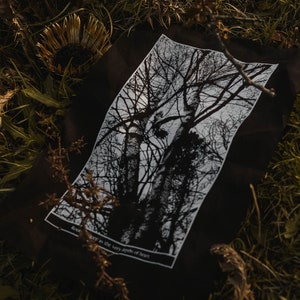 May include: A black tote bag featuring a monochrome graphic of bare trees against a cloudy sky. The text "Root deeper as the very depths of heart" is printed at the bottom. The bag rests on grass with dried plants.