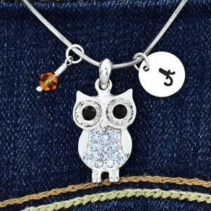 Swarovski Crystal Blue Owl Colgante Collar personalizado brillante personalizado Estampado a mano Inicial Carta Charm Birthstone Jewelry Chain